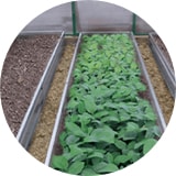 Защита поликарбоната